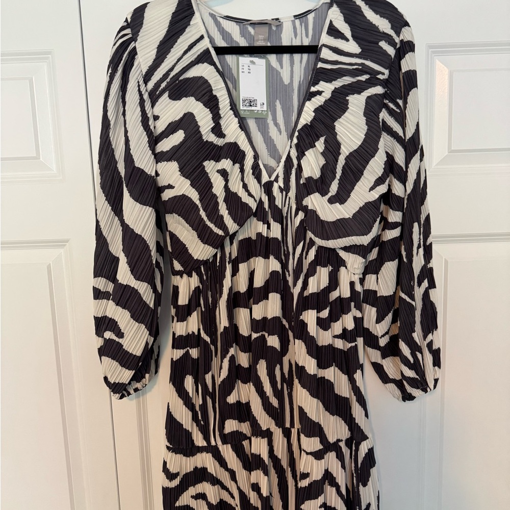 H&M Zebra Print V-Neck Dress